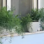 Apartmán Oasis 007 *