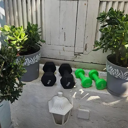 Oasis 007 *