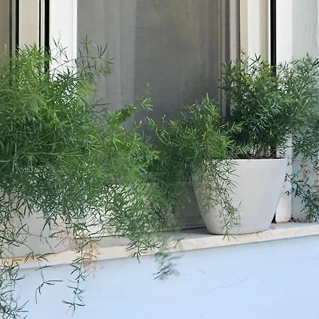 Lejlighed Oasis 007 *