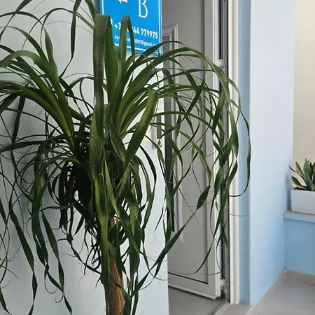 Oasis 007 Rhodes City