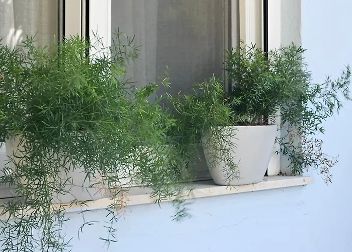 Apartamento Oasis 007 *